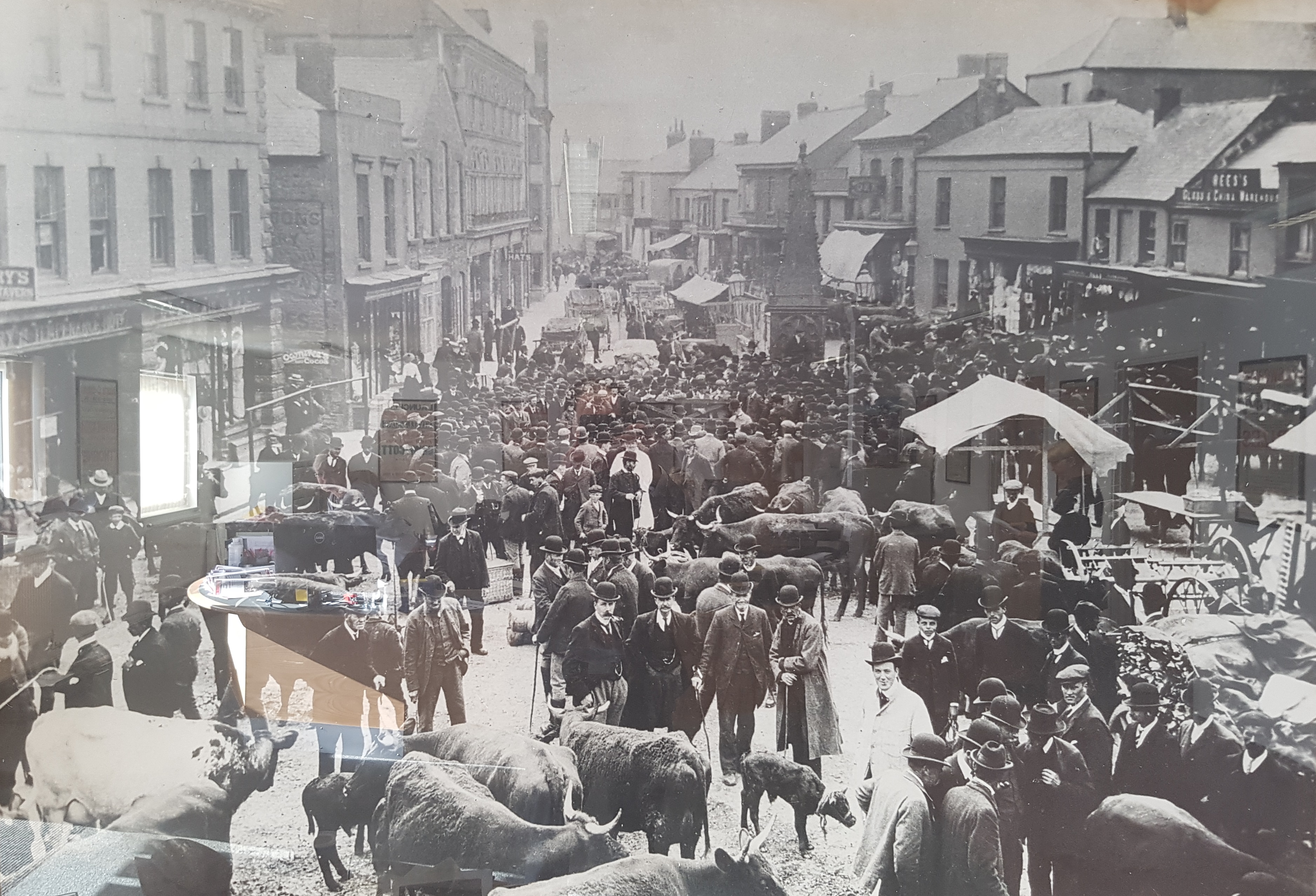 Kivells Holsworthy Livestock Market in 1901